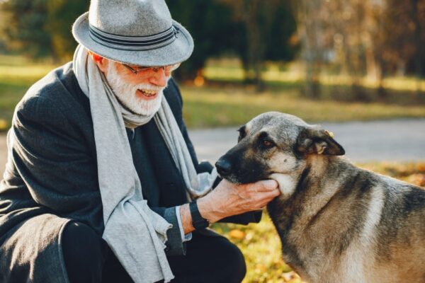 Ab wann gilt ein Hund als Senior