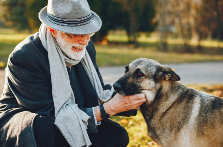 Ab wann gilt ein Hund als Senior? Altersphasen richtig einschätzen